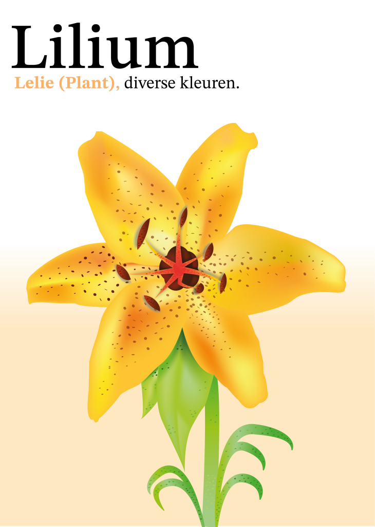 Bloem_illustratie
